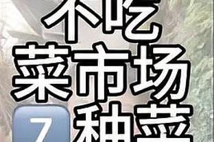 开云手机版app官方网站下载截图3